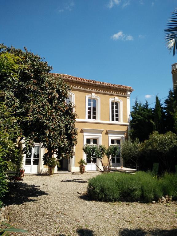 La Maison Des Palmiers 험프스 외부 사진