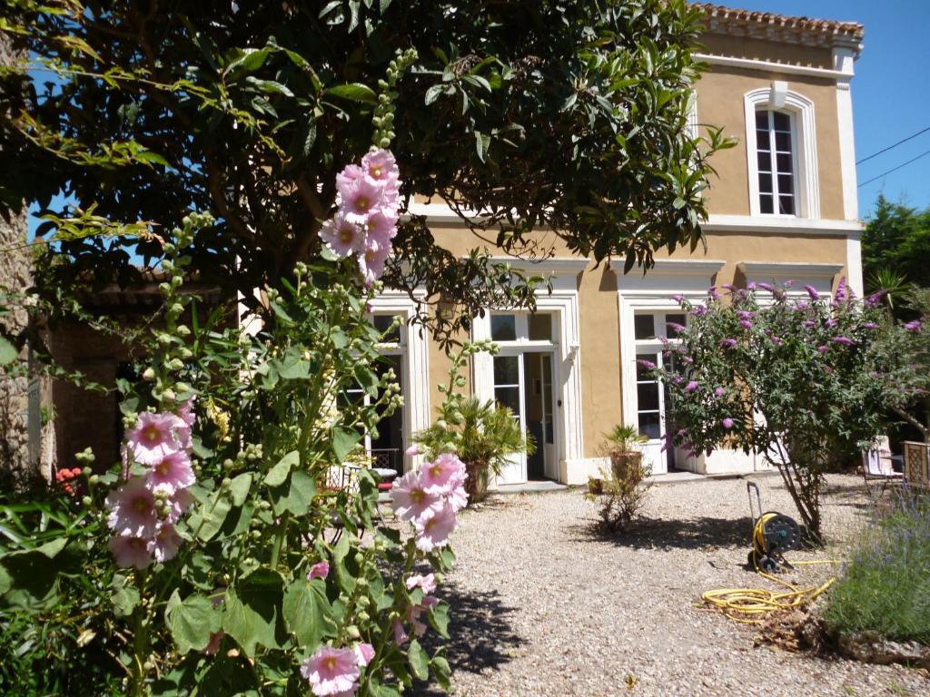 La Maison Des Palmiers 험프스 외부 사진