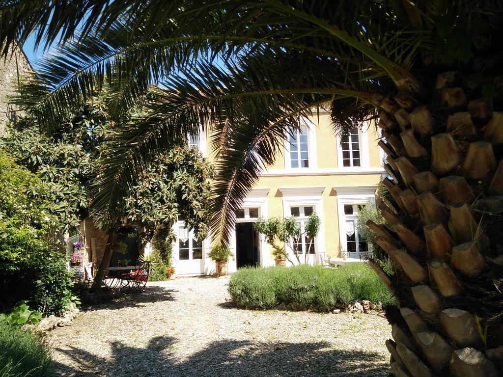 La Maison Des Palmiers 험프스 외부 사진
